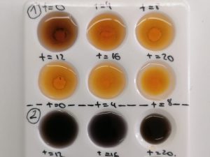 lycee-moliere-laboratorio-svt-2