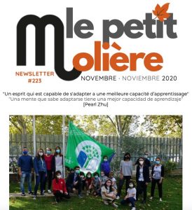 newsletter-noviembre-20