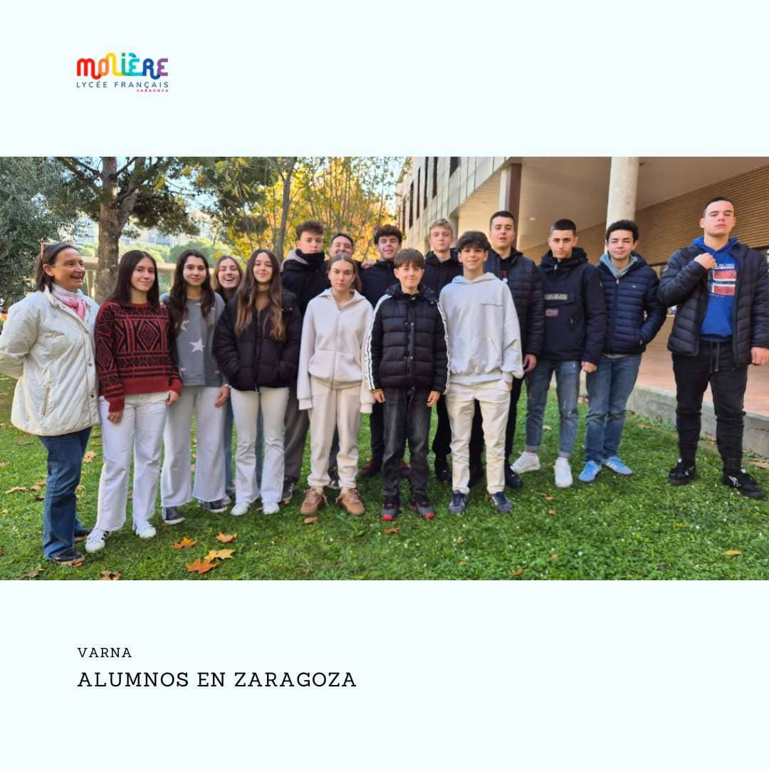 movilidad escolar Zaragoza