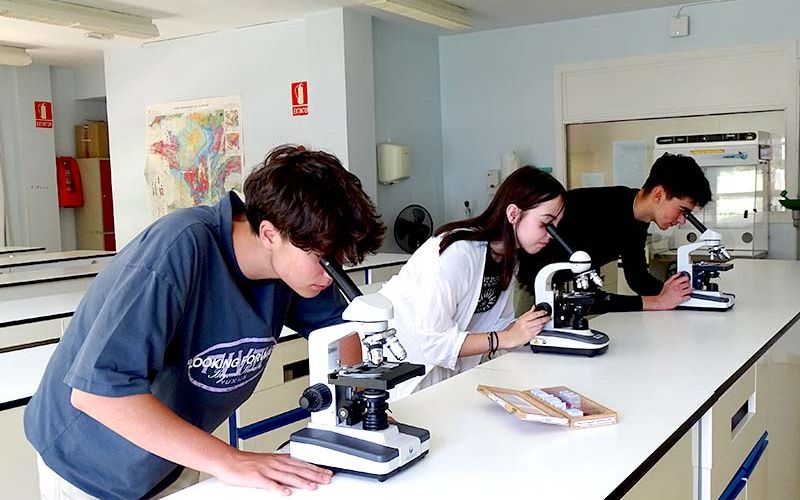 L'enseignement au niveau du baccalauréat