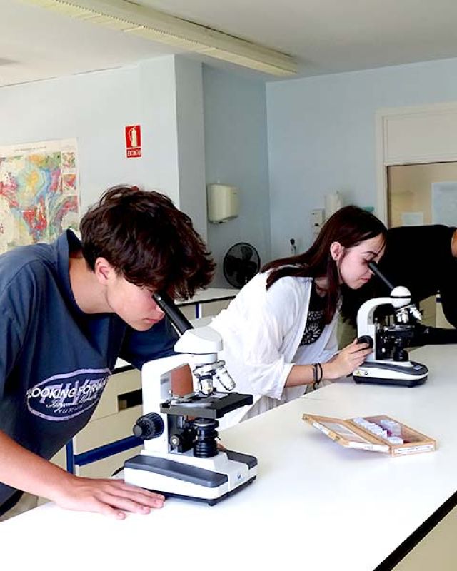 L'enseignement au niveau du baccalauréat