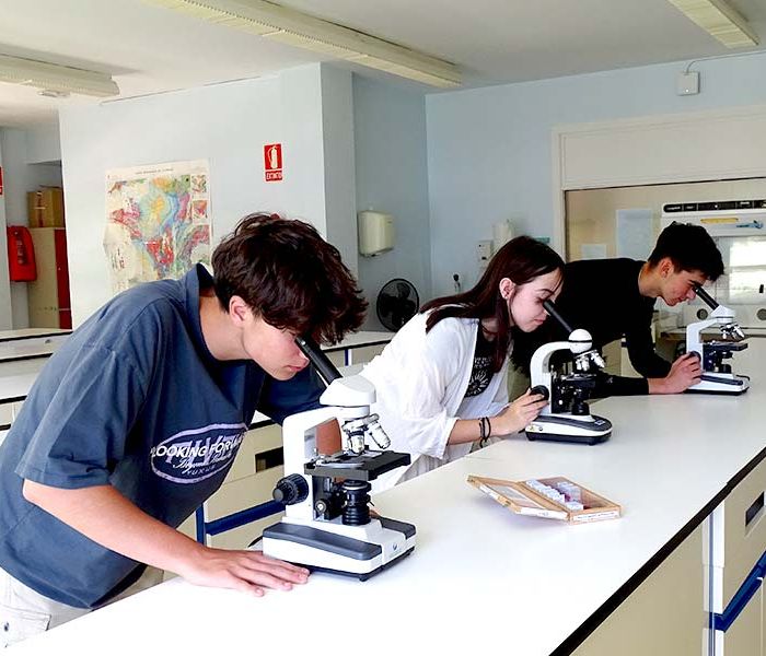 Educación bachillerato